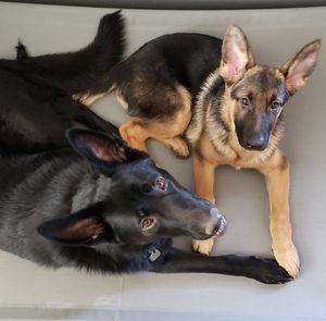 Meet your Posher, Courtney